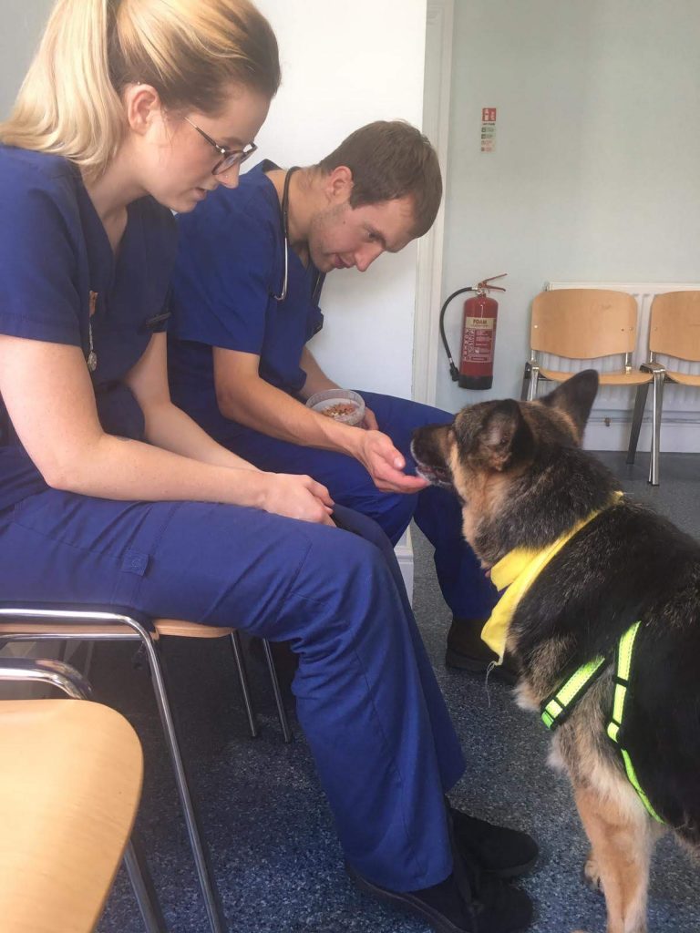 Thank you Staveley Vets Chesterfield Animal Rescue