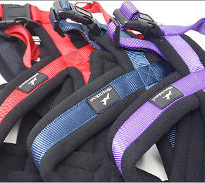 Miro & Makauri Premium Fleece Padded Dog Harness
